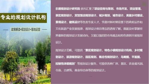 山南地区旅游开发项目策划咨询专项资金管理实施细则